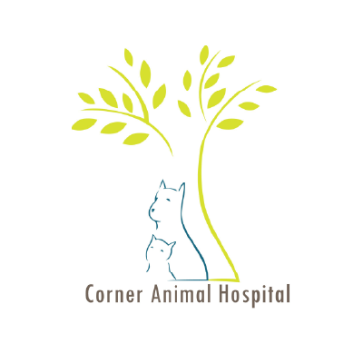 S101378角落動物醫院