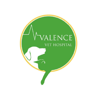 S101593維倫斯動物