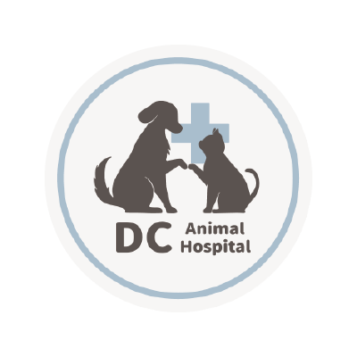 S105378豆卡動物醫院